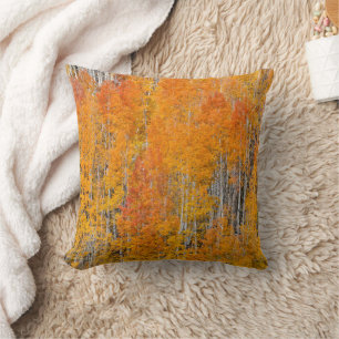 Autumn Colors on Aspen Groves Cushion