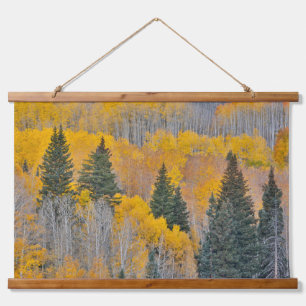 Autumn Colors on Aspen Groves Hanging Tapestry