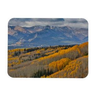 Autumn Colors on Aspen Groves Magnet