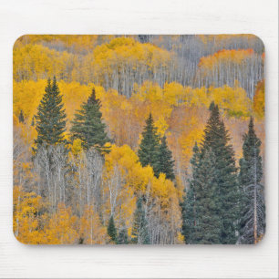 Autumn Colors on Aspen Groves Mouse Pad
