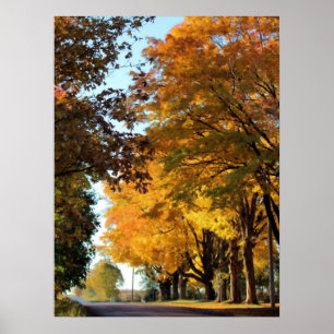 Autumn Colors on Country Road Poster