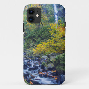 Autumn Colour Along Starvation Creek Falls 2 iPhone 11 Case