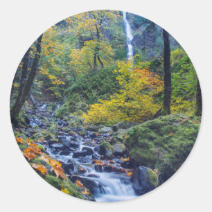 Autumn Colour Along Starvation Creek Falls 2 Classic Round Sticker