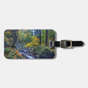 Autumn Colour Along Starvation Creek Falls 2 Luggage Tag