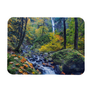 Autumn Colour Along Starvation Creek Falls 2 Magnet