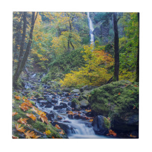 Autumn Colour Along Starvation Creek Falls 2 Tile