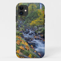 Autumn Colour Along Starvation Creek Falls
