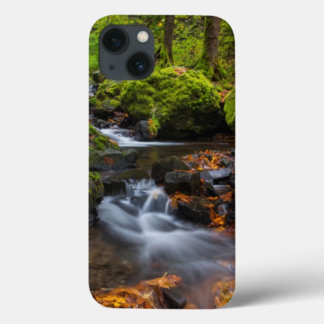 Autumn colour along Starvation Creek Falls Case-Mate iPhone Case (Back)