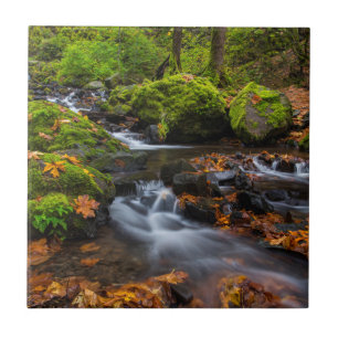 Autumn colour along Starvation Creek Falls Ceramic Tile