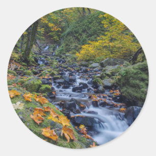 Autumn Colour Along Starvation Creek Falls Classic Round Sticker