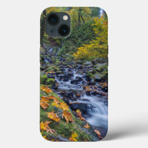 Autumn Colour Along Starvation Creek Falls iPhone 13 Case