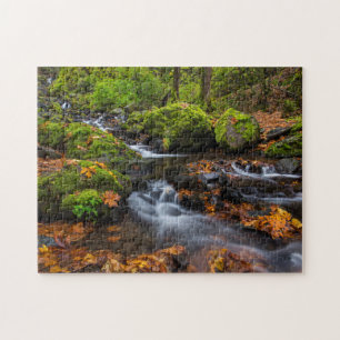 Autumn colour along Starvation Creek Falls Jigsaw Puzzle