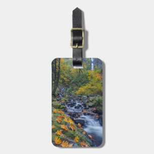 Autumn Colour Along Starvation Creek Falls Luggage Tag