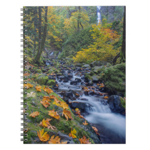 Autumn Colour Along Starvation Creek Falls Notebook