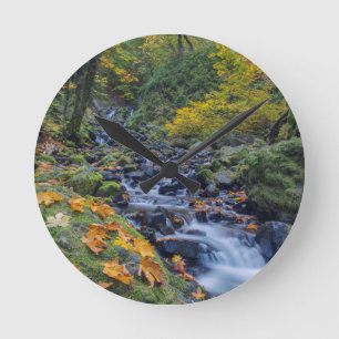 Autumn Colour Along Starvation Creek Falls Round Clock