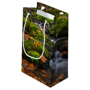 Autumn colour along Starvation Creek Falls Small Gift Bag
