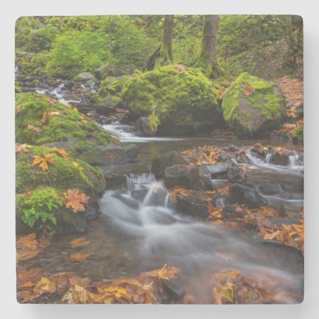 Autumn colour along Starvation Creek Falls Stone Coaster (Front)