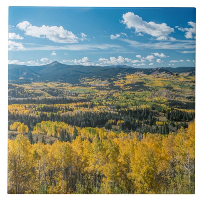 Autumn Colour in Flat Tops | Routt National Forest Ceramic Tile (Front)