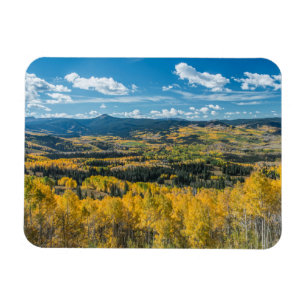 Autumn Colour in Flat Tops Routt National Forest Magnet