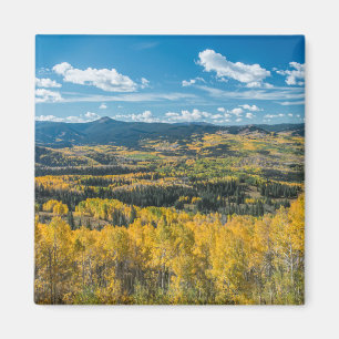 Autumn Colour in Flat Tops Routt National Forest Magnet