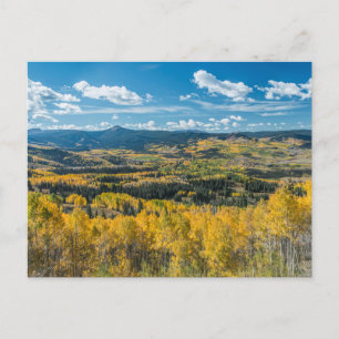Autumn Colour in Flat Tops   Routt National Forest Postcard