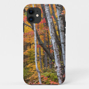 Autumn Colour In The Forest Near Copper Harbour iPhone 11 Case