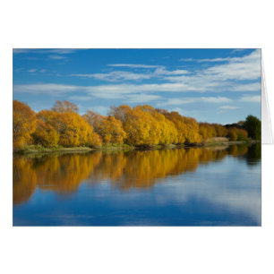 Autumn Colour on Clutha River