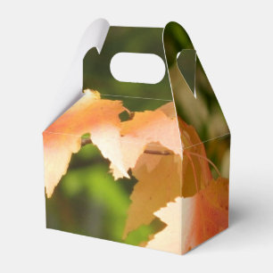 Autumn Colour Party Favour Box