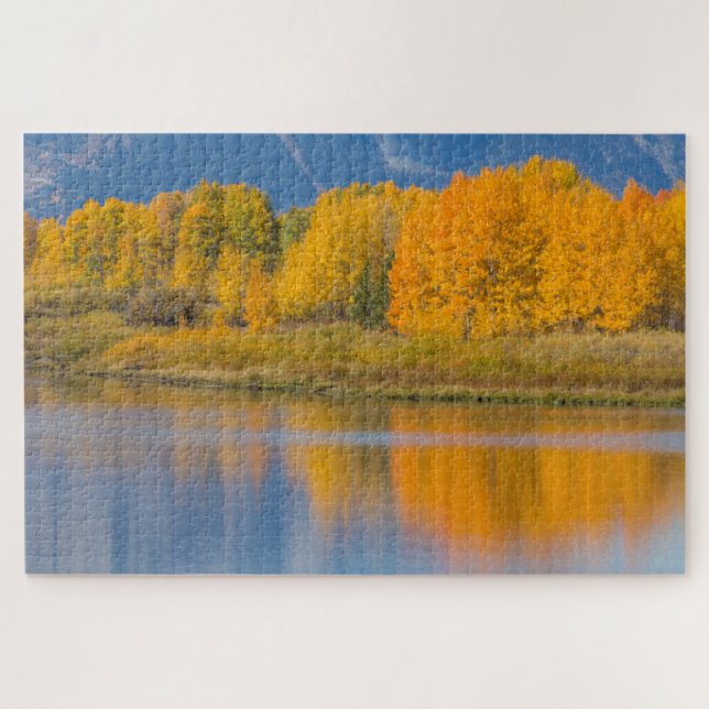 Autumn Coloured Aspen Trees Jigsaw Puzzle (Horizontal)