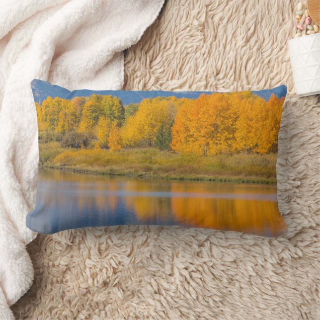Autumn Coloured Aspen Trees Lumbar Cushion (Blanket)