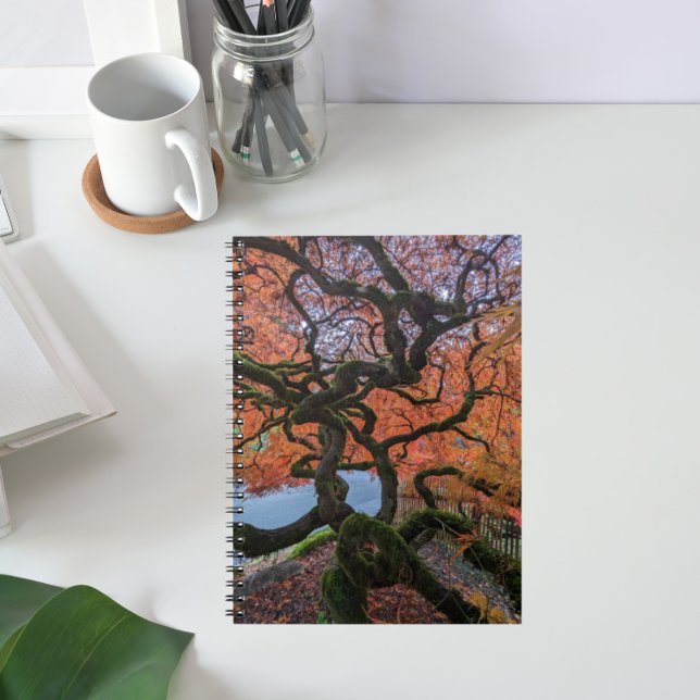 Autumn Coloured Gnarly Japanese Maple Tree Notebook (In Situ)