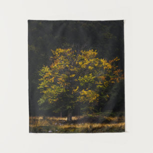 Autumn coloured tree tapestry