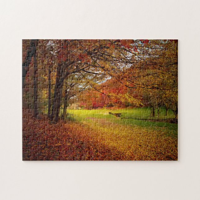 Autumn colourful jigsaw puzzle (Horizontal)
