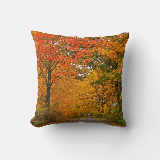 Autumn colourful trees cushion (Front)