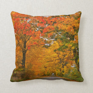 Autumn colourful trees cushion