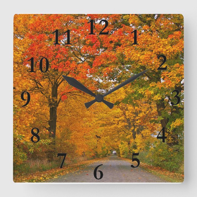 Autumn colourful trees square wall clock (Front)