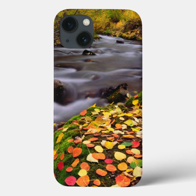 Autumn Colours along McGee Creek Case-Mate iPhone Case (Back)