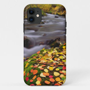 Autumn Colours along McGee Creek iPhone 11 Case