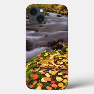 Autumn Colours along McGee Creek iPhone 13 Case
