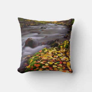Autumn Colours along McGee Creek Cushion
