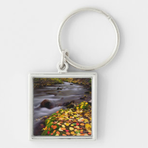 Autumn Colours along McGee Creek Key Ring