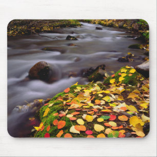 Autumn Colours along McGee Creek Mouse Pad