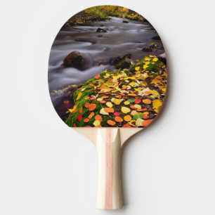 Autumn Colours along McGee Creek Ping Pong Paddle