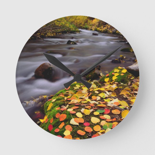 Autumn Colours along McGee Creek Round Clock (Front)
