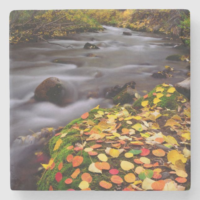 Autumn Colours along McGee Creek Stone Coaster (Front)