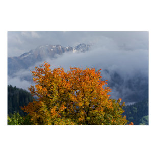 Autumn colours and mountains poster