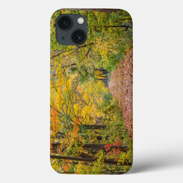 Autumn Colours At Independence State Park Case-Mate iPhone Case (Back)