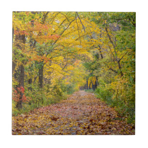 Autumn Colours At Independence State Park Ceramic Tile