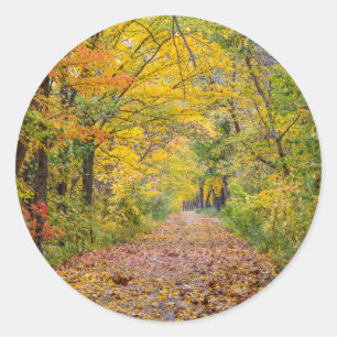 Autumn Colours At Independence State Park Classic Round Sticker
