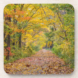 Autumn Colours At Independence State Park Coaster